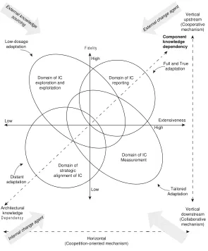 Figure 14.3 Dimensions of intellectual capital management practice variability and adaptation in onsite SMEs 