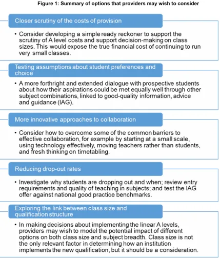 Figure 1: Summary of options that providers may wish to consider 