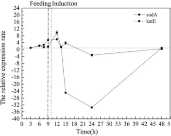 Figure 4 compares the dynamics of the expression of H-NS, rpoS, gadE, and gadX in the acid stress response pathway