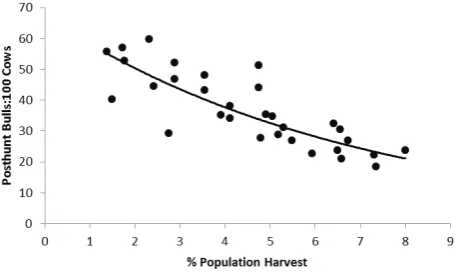 Fig. 4. Predictions of the post-hunt, bull:cow ratio based on the modelled bull harvest rate from 31 Game Management Zones in British Columbia, Canada; yˆ=61.595e−0.031  where xyˆ is the post-hunt bull:100 cows ratio, and x is the bull harvest rate (bull harvest/pre-hunt bull population).