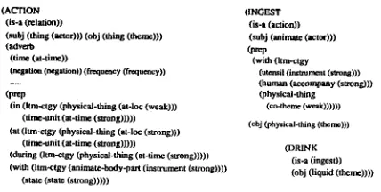 Figure 1: Organization of the Verbal Concepts 