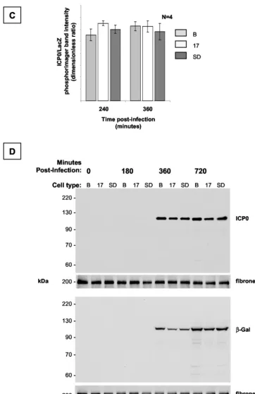 FIG. 7—Continued.