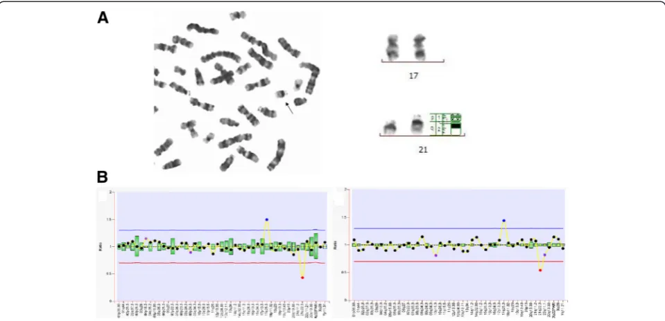 Figure 1 Identification of chromosomal rearrangements with karyotype analyses and MLPA