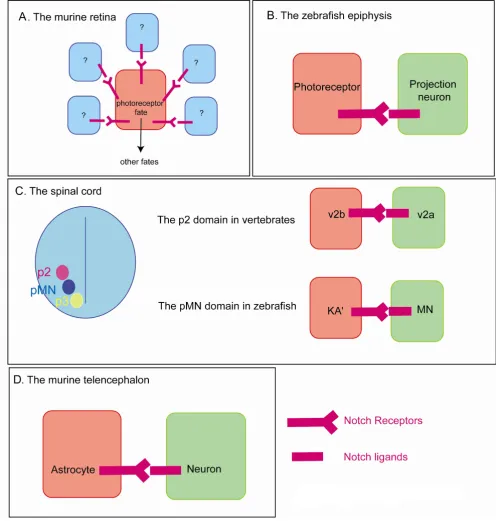 Figure 2 (see legend on next page)