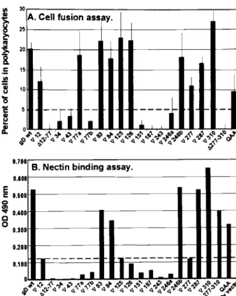 FIG. 4. Quantitation of fusion activity induced in BHK cells by gDmutants (A) and quantitation of binding of mutant gDs to nectin1-Fc