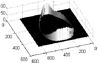 Figure 3. Directional angle of Grapefruit’s contour in three dimensional space. 