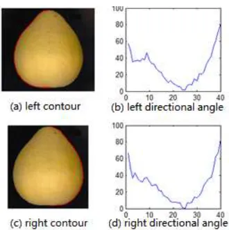 Figure 4. Analysis on referent Grapefruit’s contour.        Figure 5. Grapefruit’s contour analysis 1