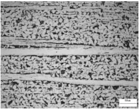 Figure 3. Layered in cold bending fracture specimens.  