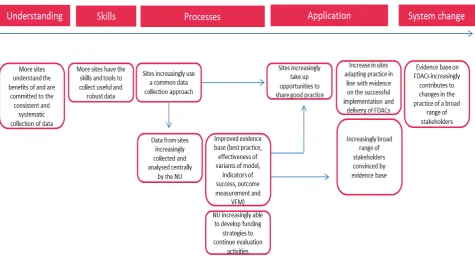 Figure 3: Outcome pathway for long-term outcome ‘Improvements in the definition, collection, dissemination and application of evidence’ 