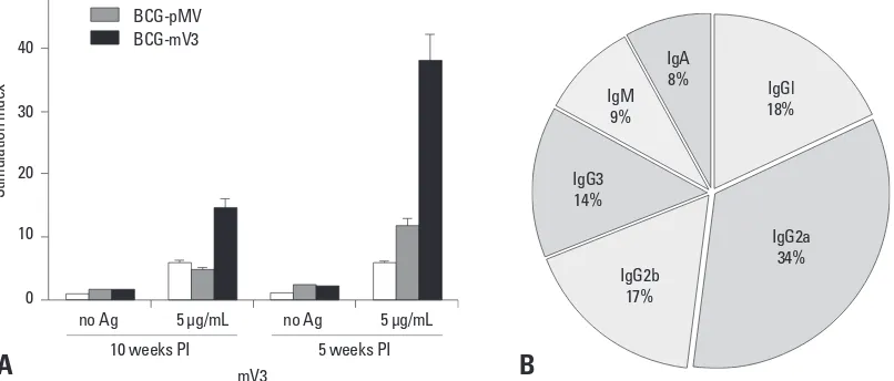 Fig. 5. (A) Lymphocyte proliferation assay in response to recombinant-mV3 antigen stimulation in T cell-enriched splenocytes of immu-nized mice