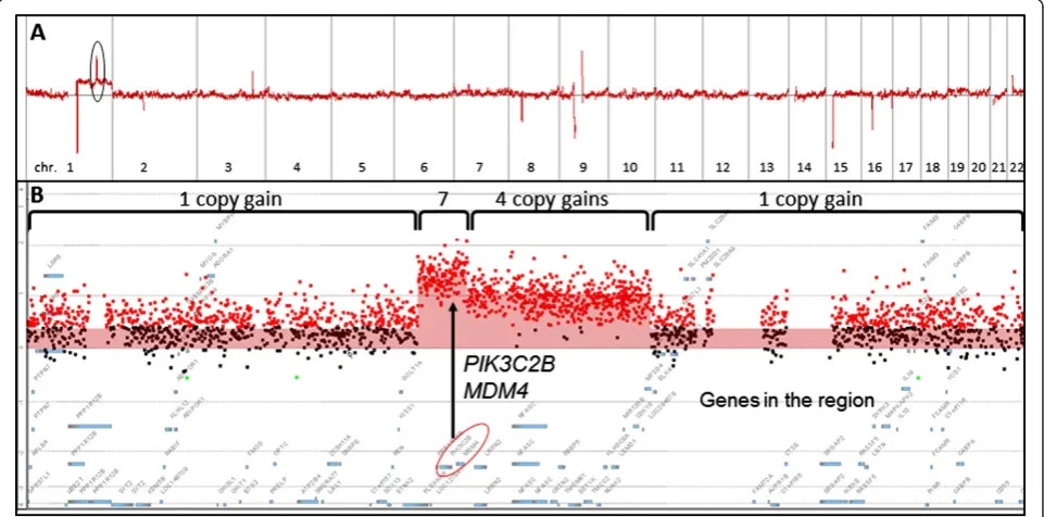 Figure 1 Whole genomic profile of HCC using formalin-fixed paraffin-embedded (FFPE) specimen