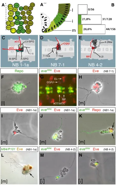 Figure 5 (see legend on next page)