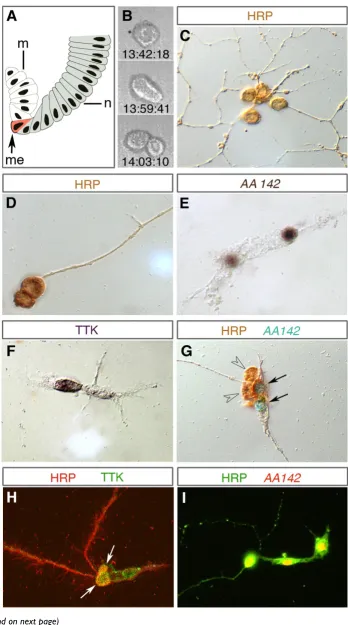 Figure 1 (see legend on next page)