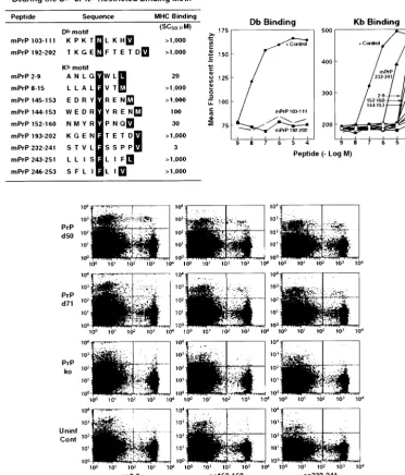 FIG. 3. Motif of mPrP Dbof these mPrP peptides bind at heightened afﬁnity to the corresponding MHC molecules