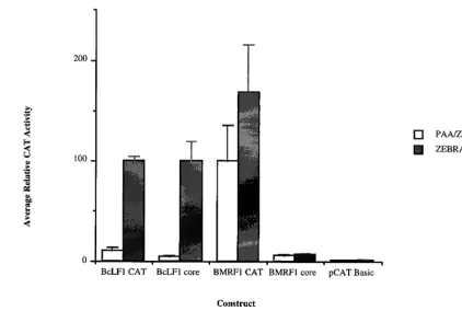 FIG. 1. Activities of lytic promoters and their corresponding core fragments in EBV-infected cell line HH514-16