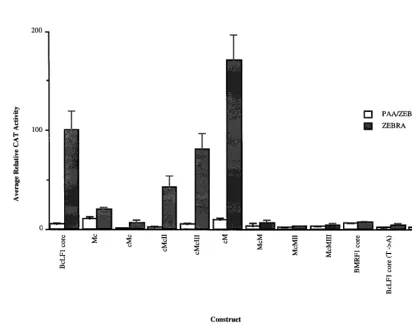 TABLE 1. Oligonucleotides used to construct promoters