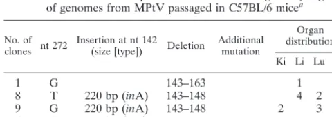 TABLE 3. Effect of nucleotide sequence variation on the activity ofMPtV early and late promoters and of the origin of DNAreplication
