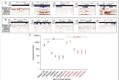 Figure 7 Correspondence of metaphase chromosome accessibility with epigenetic marks associated with open chromatin in interphase.Genome browser tracks show integrated ChIP-seq signal intensities of open chromatin features (y-axis) determined by ENCODE