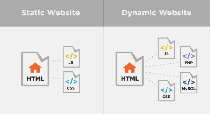 Figure 6: Static and Dynamic Websites 