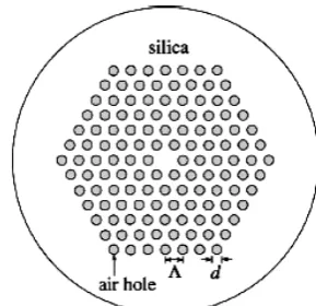Fig. 1 Schematic representation of a typical PCF.