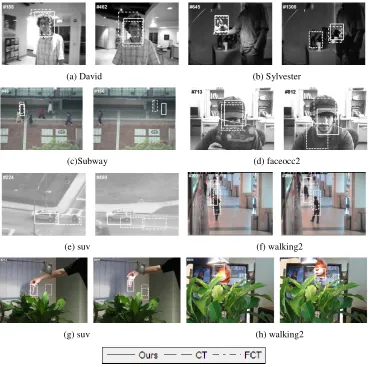 Figure 1. Screenshots of some sampled tracking results. 