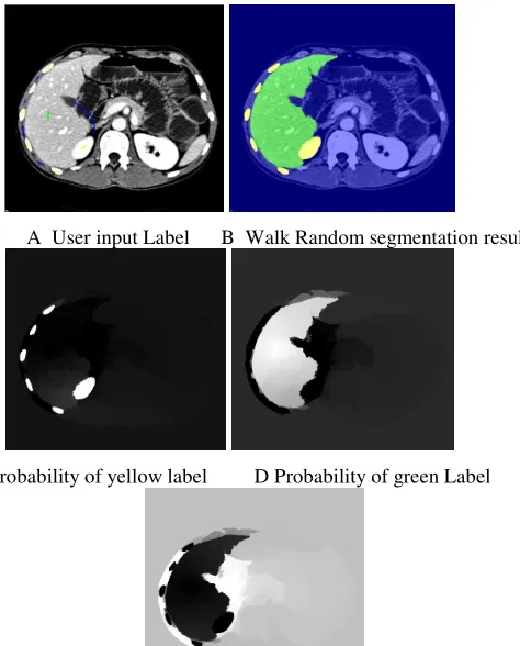 Figure 2. Natural image segmentation results. 