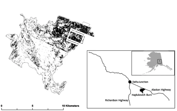 Fig. 1. Map of the 1994 Hajdukovich Creek Burn in interior Alaska. In the detail map (left),areas of high severity and low severity burning is indicated by dark and light shading,respectively.