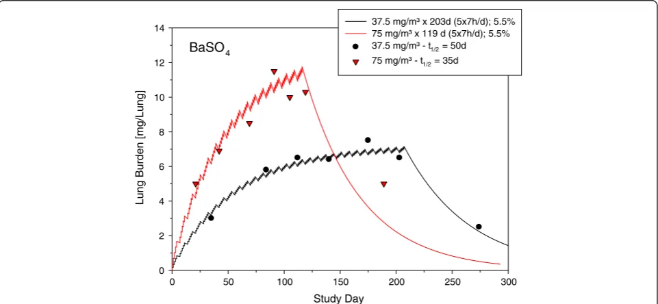 Figure 4 Modeling of two C × Σt-adjusted subchronic barium sulfate inhalation studies with different particle size and surface areasfrom Cullen et al