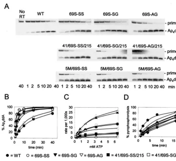 FIG. 1. Effect of ﬁnger insertion mutations and AZT resistance mutations on removal of [32concentration