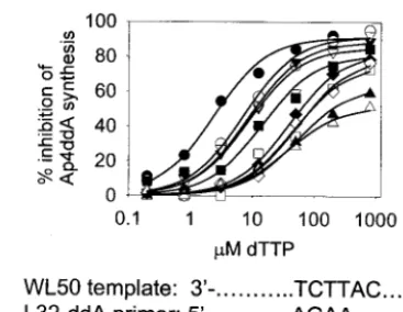 TABLE 3. Ability of dTTP, the dNTP complementary to the nextnucleotide position on the template, to inhibit Ap4ddA synthesisby HIV-1 RT and ddAMP-terminated primer-template