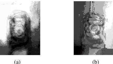 Figure 4. Some of the characteristic images of the rail fastener. 