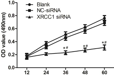 Figure 2. Proliferation ability of CNE-2 cells after XRCC1 silencing detected by MTT assay