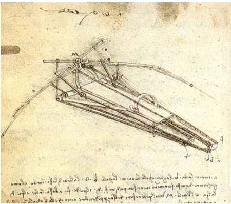 Figure 1.1 Leonardo's Flying Machine 