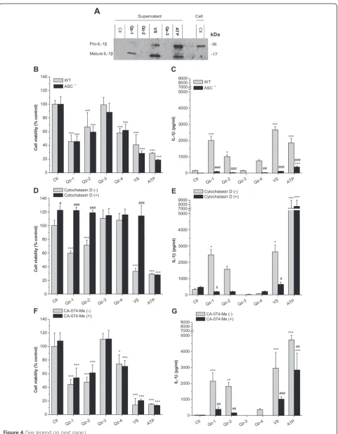 Figure 4 (See legend on next page.)