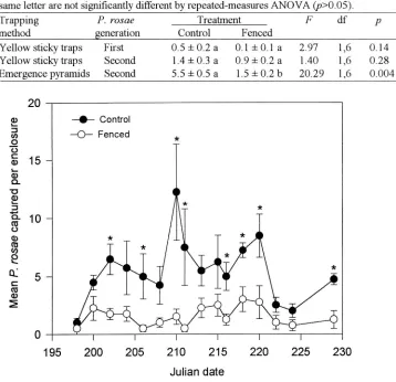 Table 1 Trap captures on yellow sticky traps and captures from emergence pyramids 