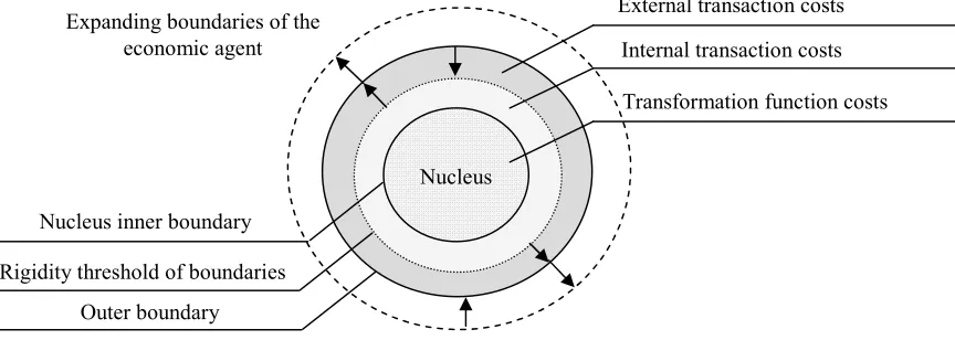 Figure 2. Boundaries of the economic agent in separating transaction costs 