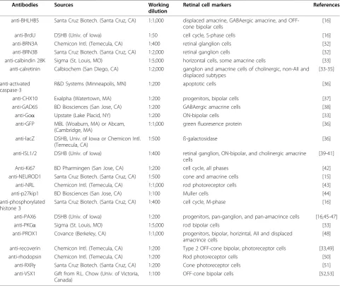 Table 1 List of antibodies used in this study