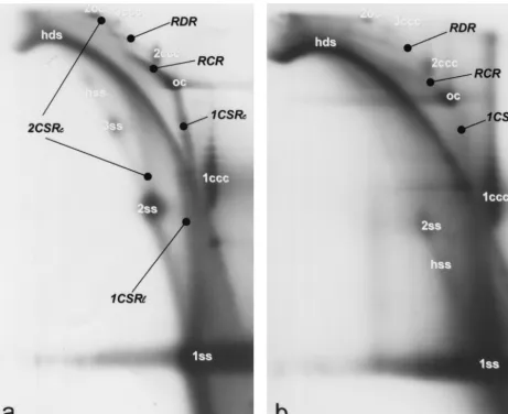 FIG. 2. Analysis of BND cellulose eluate fractions (technique and abbreviations as described in Fig