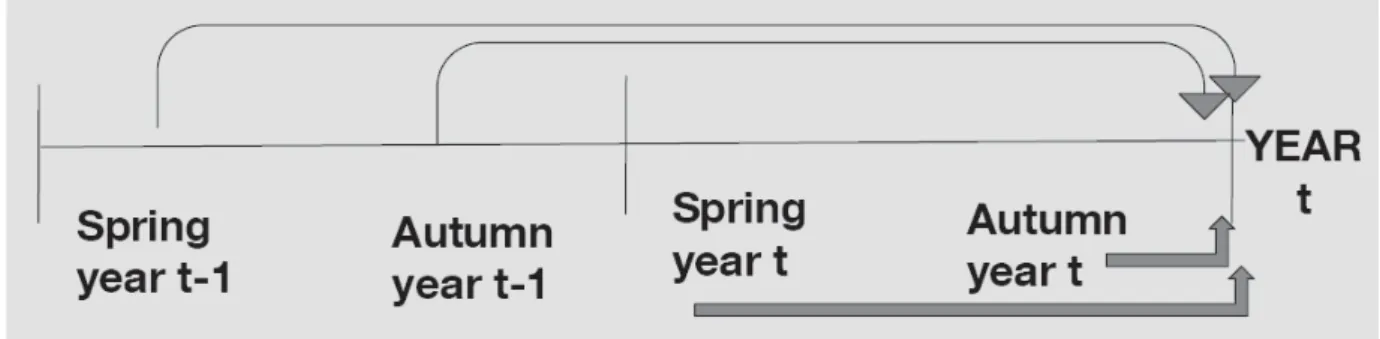 Figure 1: Structure of the database: Spring and Autumn vintages, current year and one- one-year-ahead forecasts.