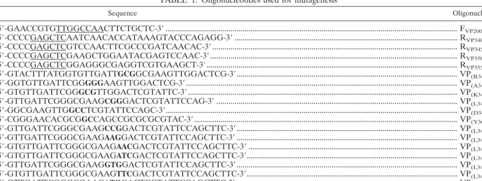 TABLE 1. Oligonucleotides used for mutagenesisa