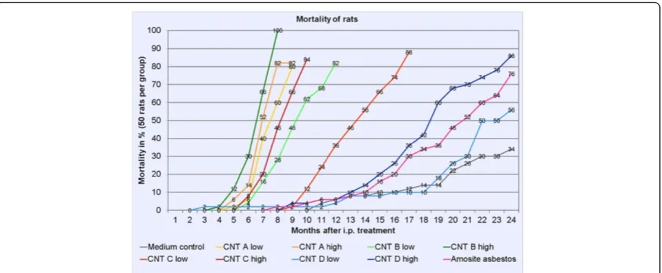 Figure 1 Mortality curves in % of all rats of the study comprising all animals which died or were humanely killed due to a bad clinicalcondition