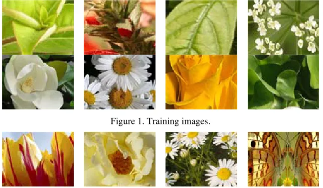 Figure 1. Training images. 