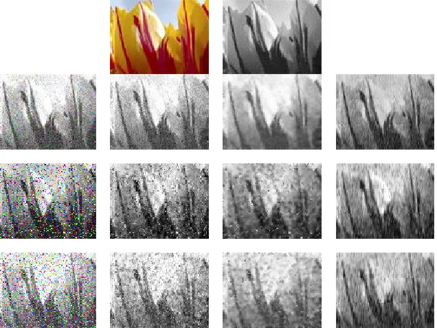 Figure 3. Visual comparisons of denoising results on test image 1. The first row is the original color image and 