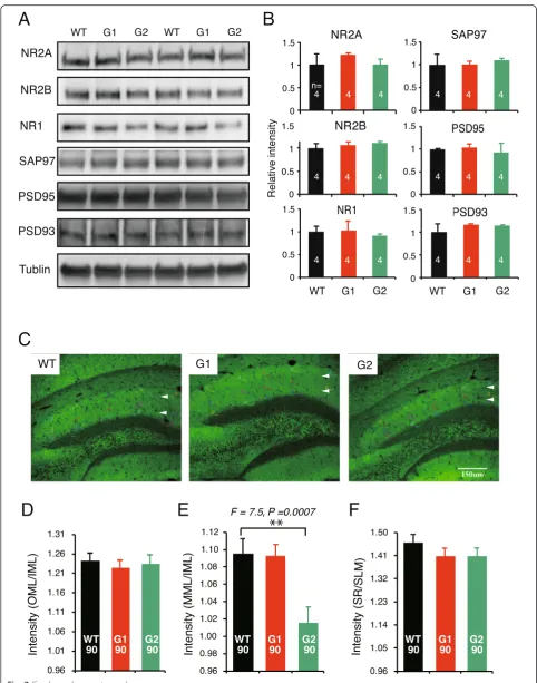 Fig. 7 (See legend on next page.)