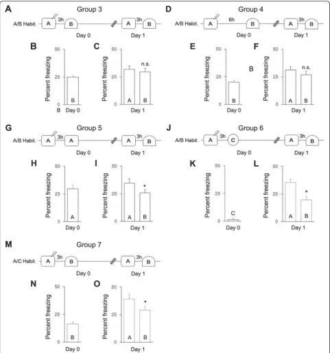 Fig. 2 Fear generalization when mice were exposed to familiar contexts soon after training.habituation to contexts A and B or A and C before training, respectively