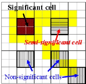 Figure 1. Three types of significant cells 