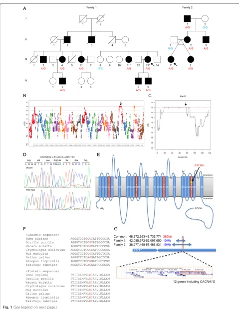 Fig. 1 (See legend on next page.)