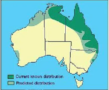 Fig. 1 Cane toad distributions in Australia (qouted from http://www.agric.wa.gov.au) 