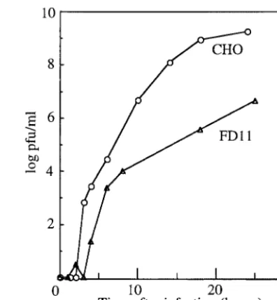 TABLE 1. Effect of endogenous cellular furin on virus infectiona