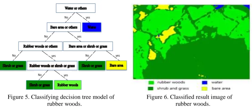 Figure 5. Classifying decision tree model of rubber woods. 